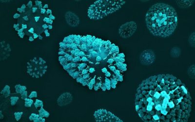 admin-ajax-5-1.jpeg - ReporterUrban