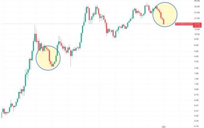 bd0c622f5b6e2a79489c2f09c02e7be8ffaf118a-2562x1988.png - ReporterUrban