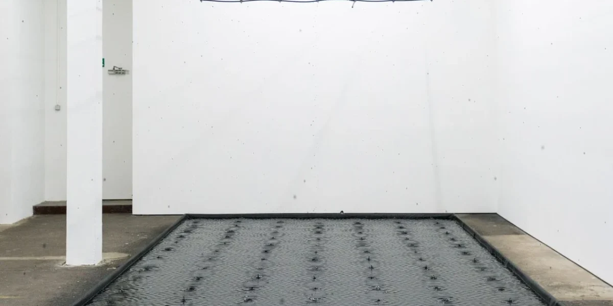 belu-simion-fainaru-contemporary-artist.webp.webp - ReporterUrban