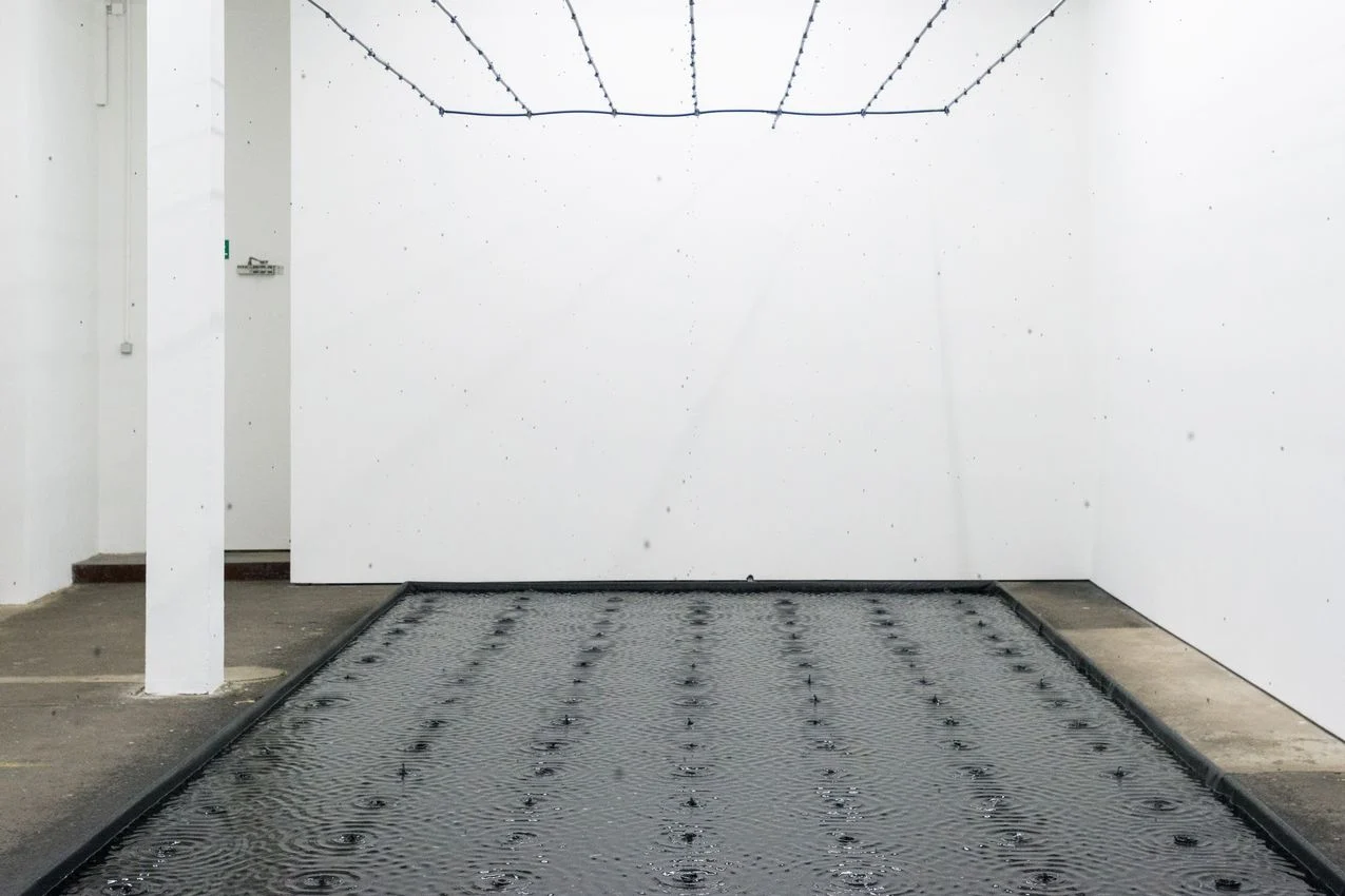 Românul Belu Simion Făinaru va reprezenta Israelul la Bienala de la Veneția 2026