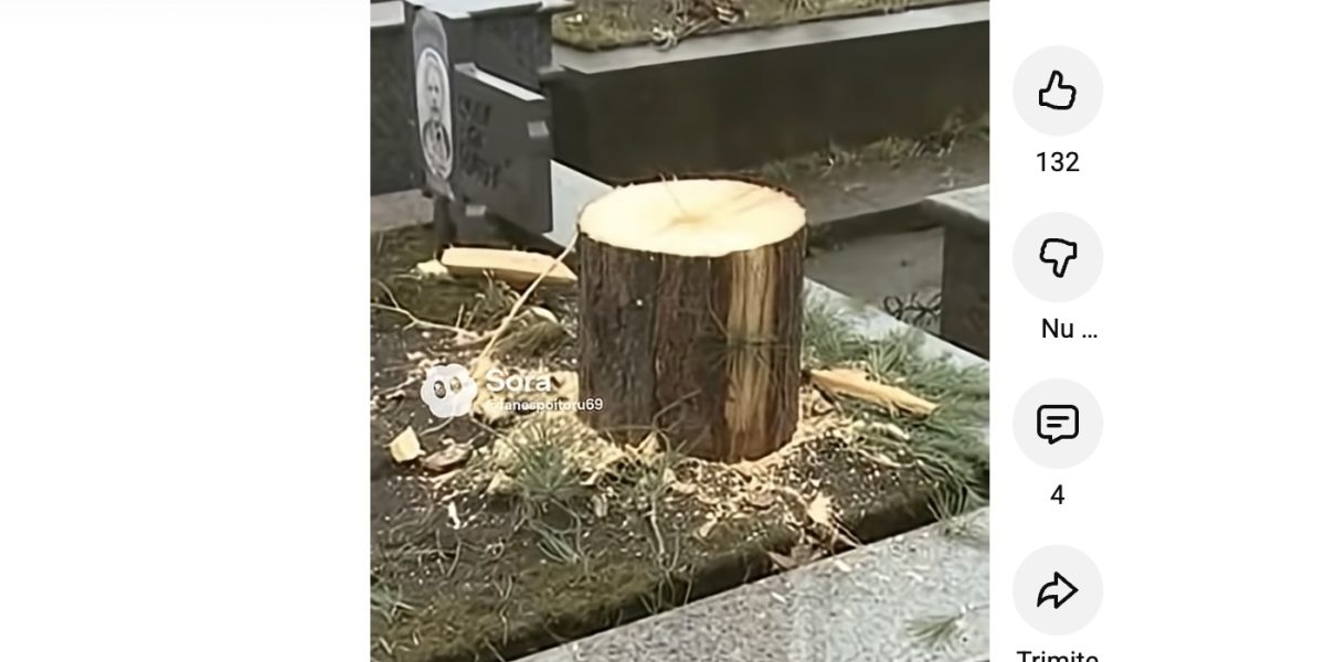 brad-taiat-de-pe-mormant.jpg - ReporterUrban