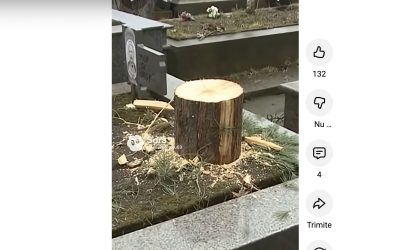 brad-taiat-de-pe-mormant.jpg - ReporterUrban