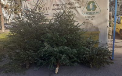 brazi.jpeg - ReporterUrban