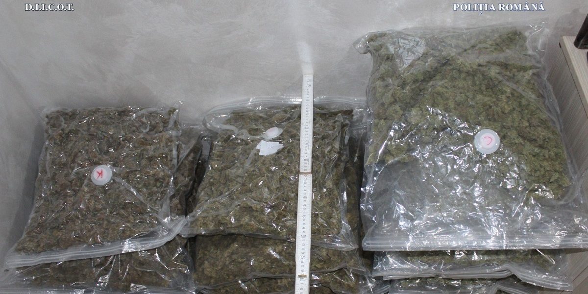 canabis.jpeg - ReporterUrban