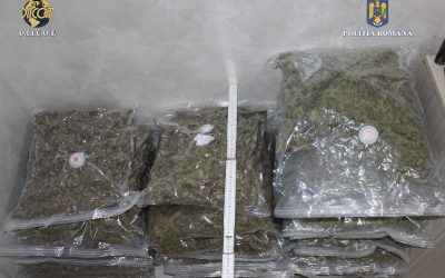 canabis.jpeg - ReporterUrban