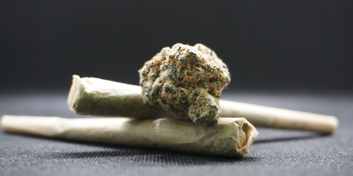 canabis-marijuana-bumps-8054140_1920.jpg - ReporterUrban