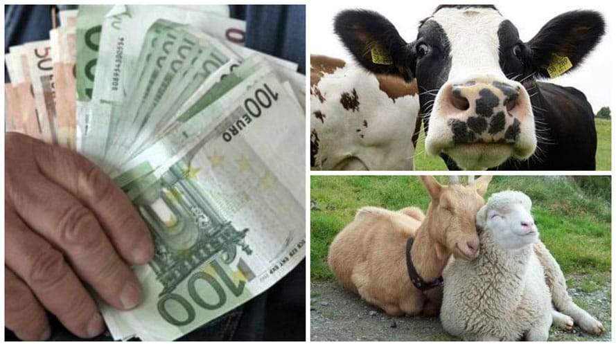 colaj-plata-animale_o.jpg - ReporterUrban