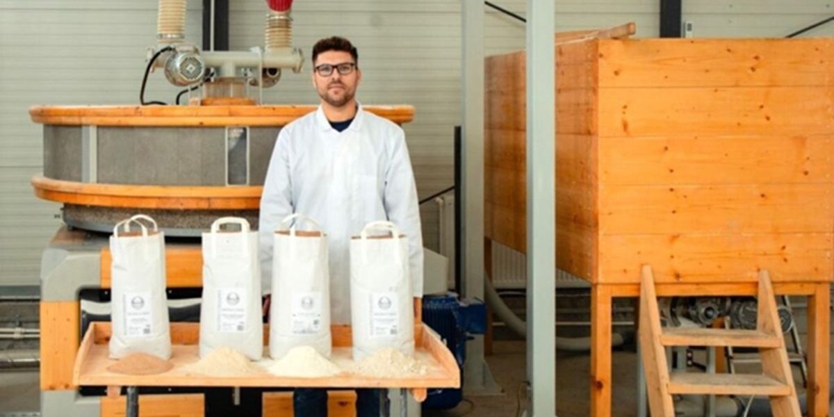 cooperativa-faina.jpg - ReporterUrban