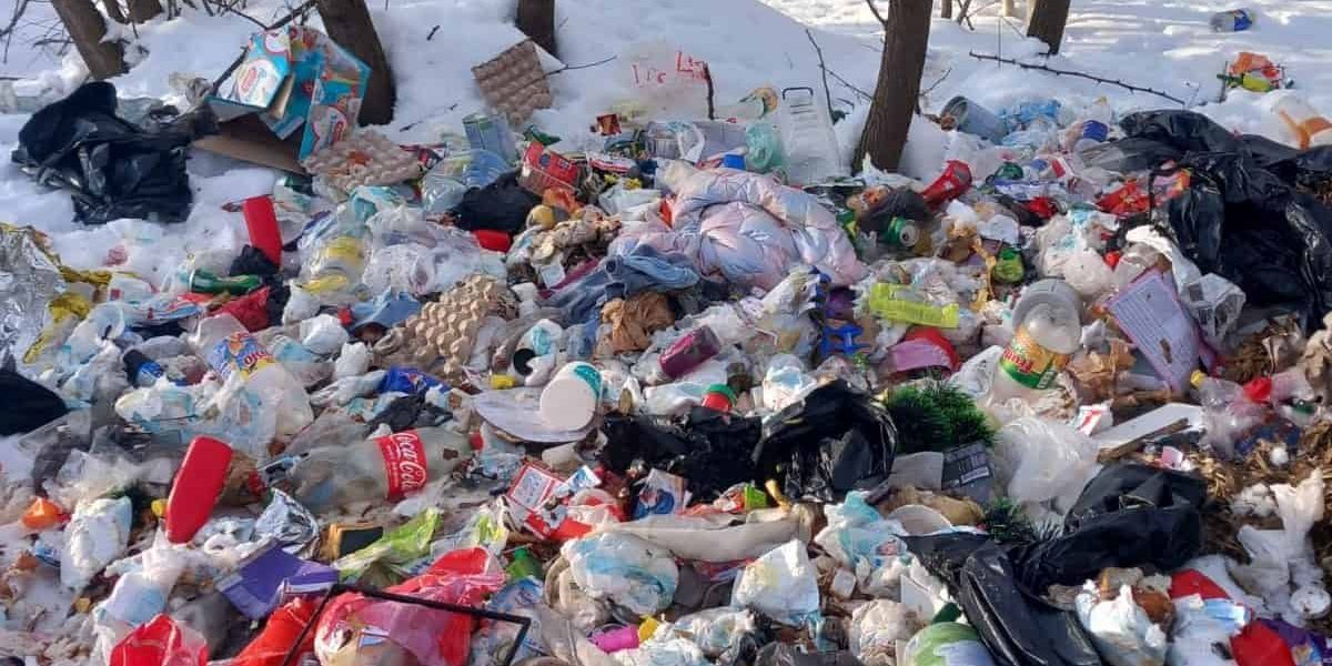 deseuri-spring-6.jpg - ReporterUrban