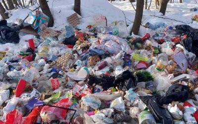 deseuri-spring-6.jpg - ReporterUrban