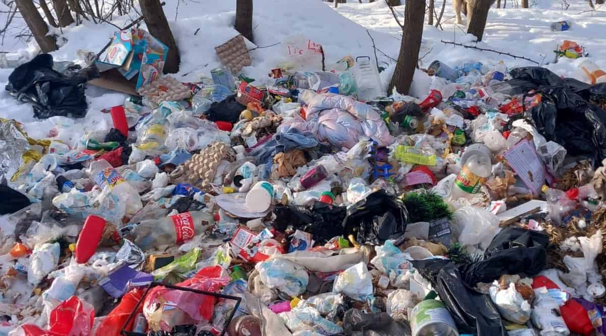 Bărbat din Alba și-a uitat buletinul în gunoiul ilegal aruncat în localitatea vecină, apoi a curățat terenul la cererea primarului