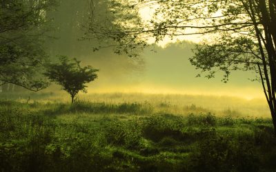 dreamstime_m_4953634.jpg - ReporterUrban