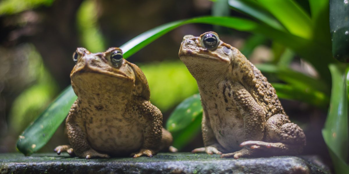 dreamstime_xl_123690325.jpg - ReporterUrban