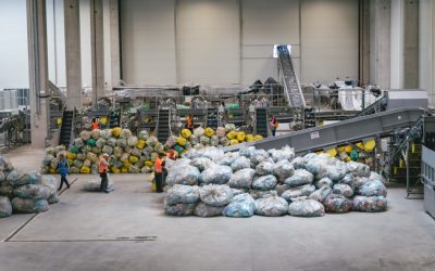 edi1142.jpg - ReporterUrban