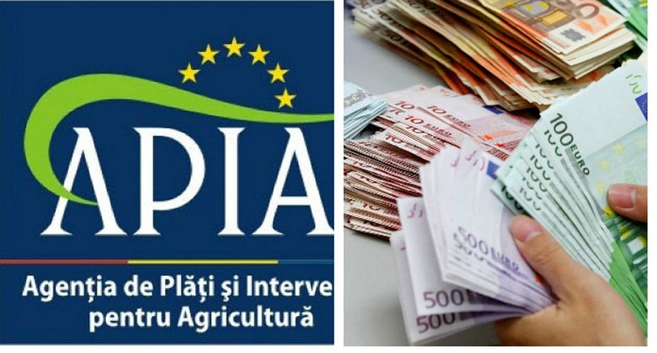 foto-bun-apia_o-1.jpg - ReporterUrban