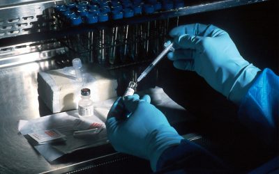 genetica.jpg - ReporterUrban