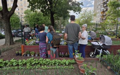 gradinile-comunitare1-debrecen.jpg - ReporterUrban