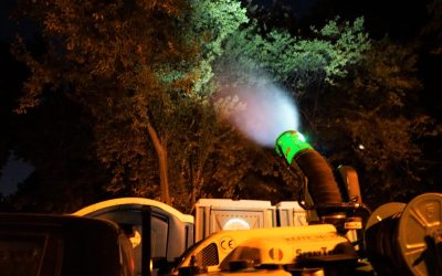 hartaliveantintari.jpg - ReporterUrban