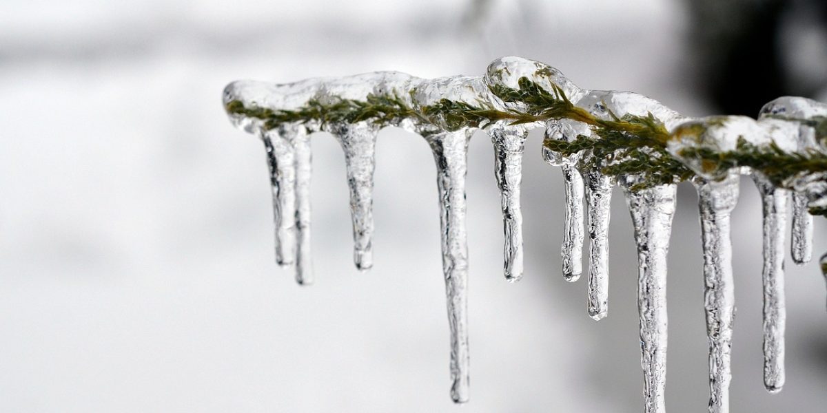 ice-1343342_1280.jpg - ReporterUrban