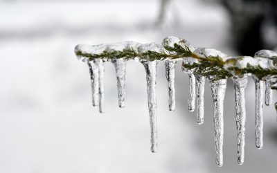 ice-1343342_1280.jpg - ReporterUrban