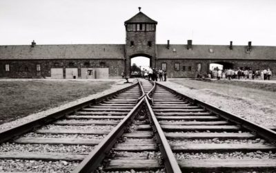 instagram-zdjecia-auschwitz-birkenau-1180x541-1-1000x485.jpg - ReporterUrban