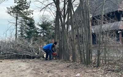 ior-aprc-1.jpg - ReporterUrban