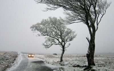 ireland-ge90926f96_1280.jpg - ReporterUrban