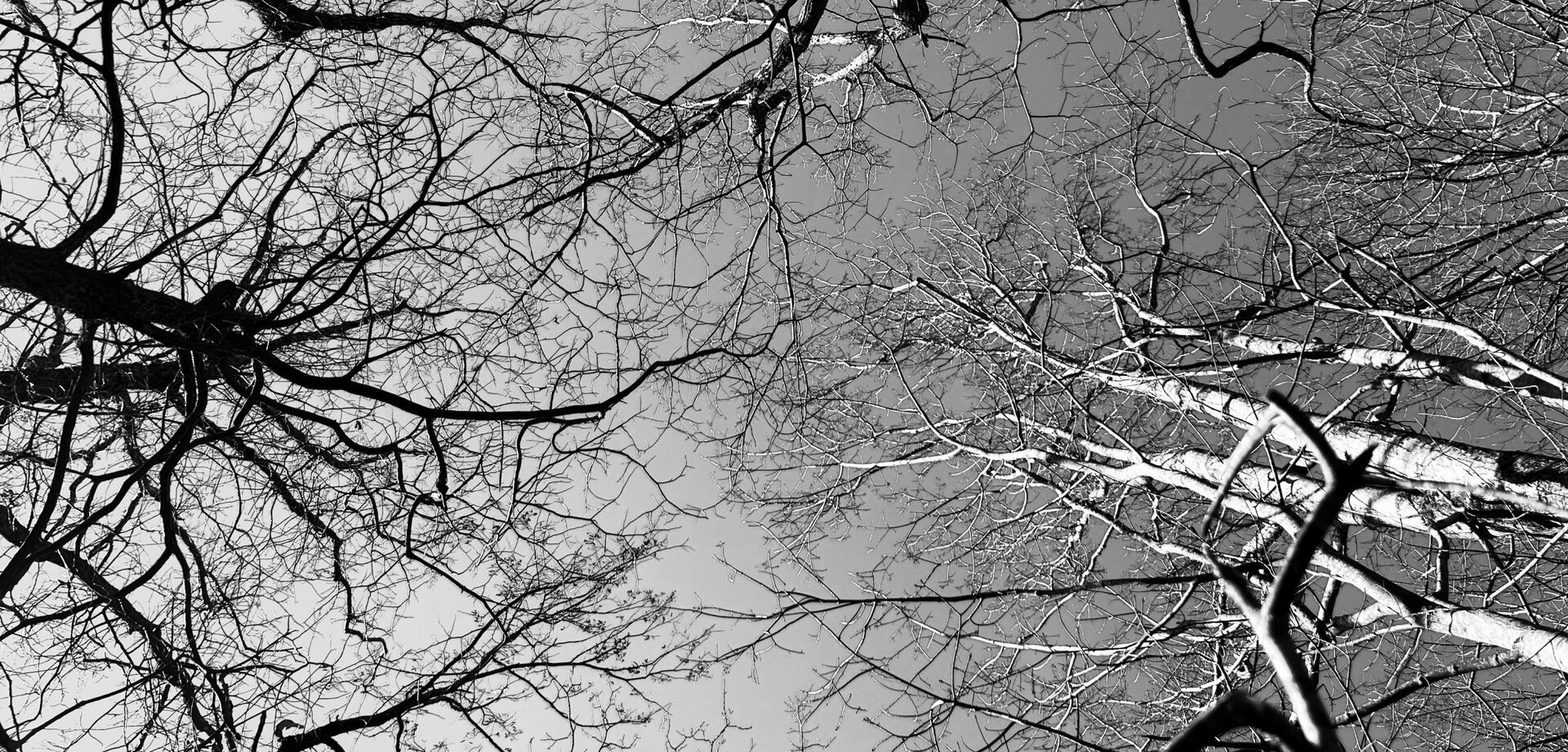 Lecturi moderne în sala de clasă: Cum influențează evenimentele actuale cursurile de filosofie Un asistent profesor de filosofie a ridicat o întrebare pertinentă pentru educația contemporană: cum să abordeze evenimentele actuale în cursurile sale, într-un climat marcat de tensiuni sociale și politice? Întrebările legate de libertatea de exprimare și imigrație sunt doar câteva dintre temele pe care le discută, dar provocarea de a integra realitatea actuală în lecții este una cu care se confruntă tot mai mulți educatori