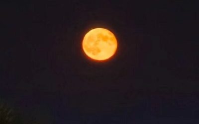 luna-4-e1767379918868.jpg - ReporterUrban