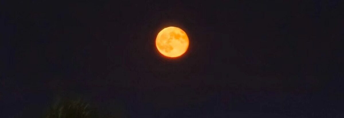 luna-4-e1767379918868.jpg - ReporterUrban