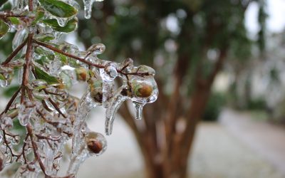 meteo-1.jpg - ReporterUrban