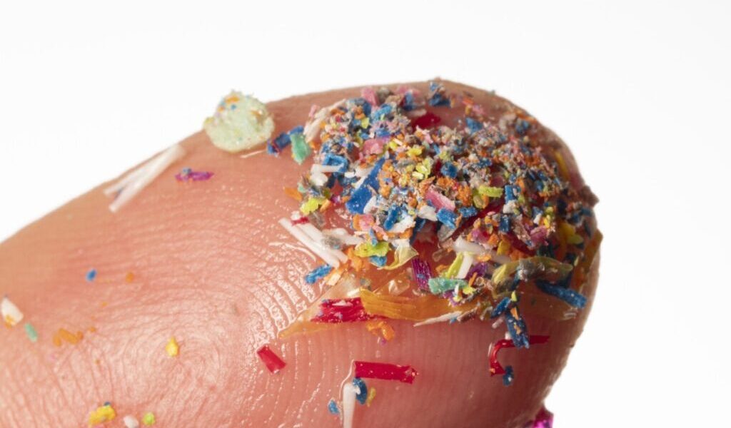 microplastice-e1724489538371.jpg - ReporterUrban