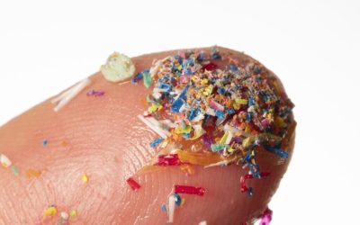 microplastice-e1724489538371.jpg - ReporterUrban