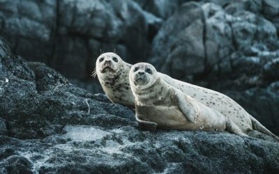 neil-cooper-uwI8R_FyLrI-unsplash-e1670244406712.jpg - ReporterUrban