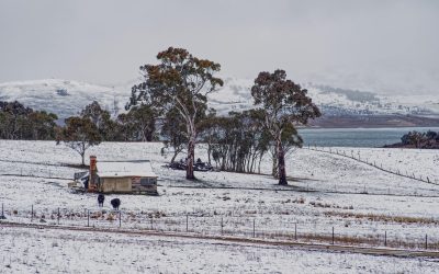 pexels-mark-thomas-2149938474-30979871.jpg - ReporterUrban