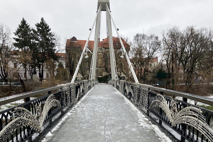 podul-intelectualilor-din-oradea.jpg - ReporterUrban