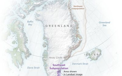polarbears_greenland_map_2022_lrg.jpg - ReporterUrban