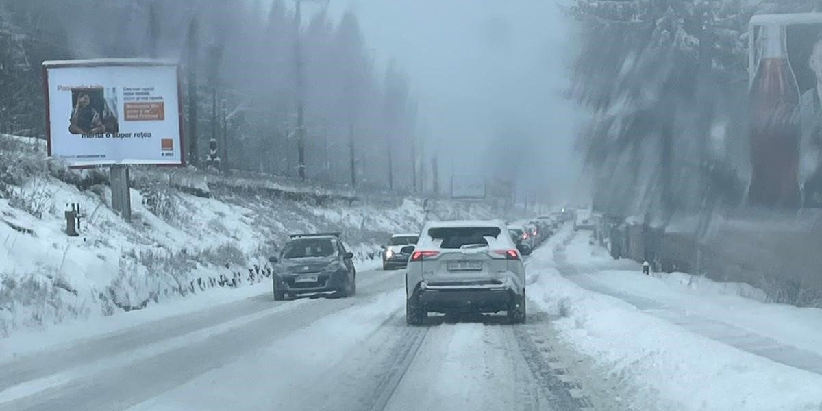 poza-art.jpeg - ReporterUrban