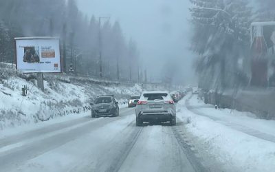 poza-art.jpeg - ReporterUrban