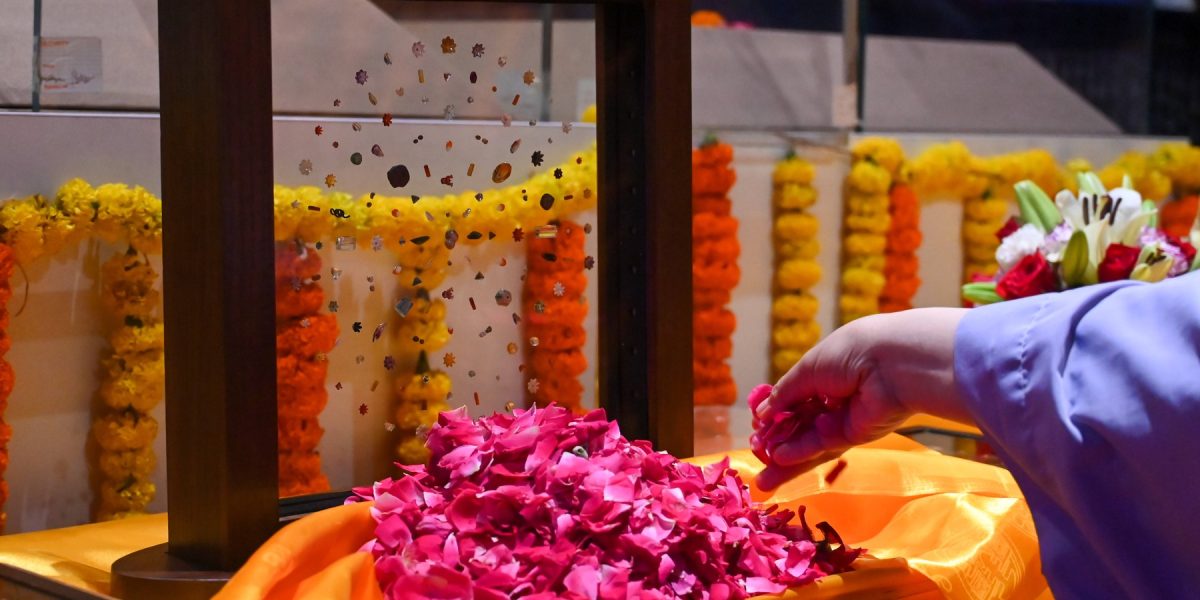 profimedia-1026803337.jpg - ReporterUrban