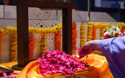 profimedia-1026803337.jpg - ReporterUrban