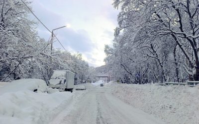 profimedia-1066200499.jpg - ReporterUrban