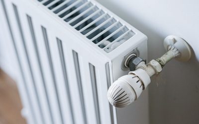 repartitoare_INQUAM_Photos_Virgil_Simonescu.jpg - ReporterUrban