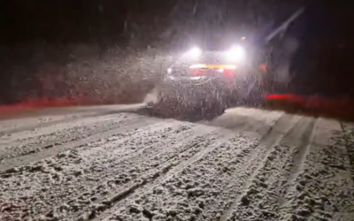 screenshot-2025-10-04-093736.png - ReporterUrban