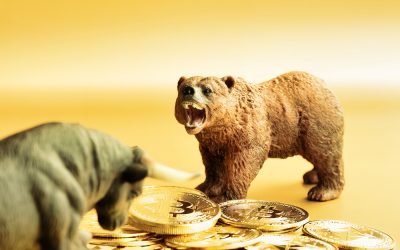 shutterstock_1982668922.jpg - ReporterUrban