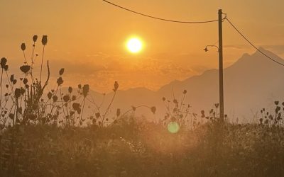 soare-caldura-canicula-fotoo-g4media-o-hategan.jpg - ReporterUrban