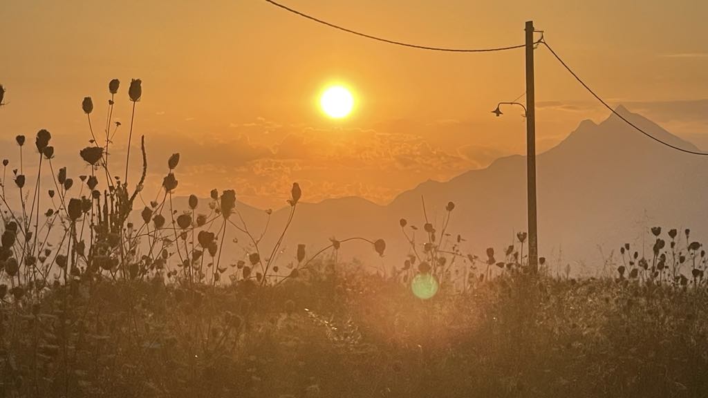 soare-caldura-canicula-fotoo-g4media-o-hategan.jpg - ReporterUrban