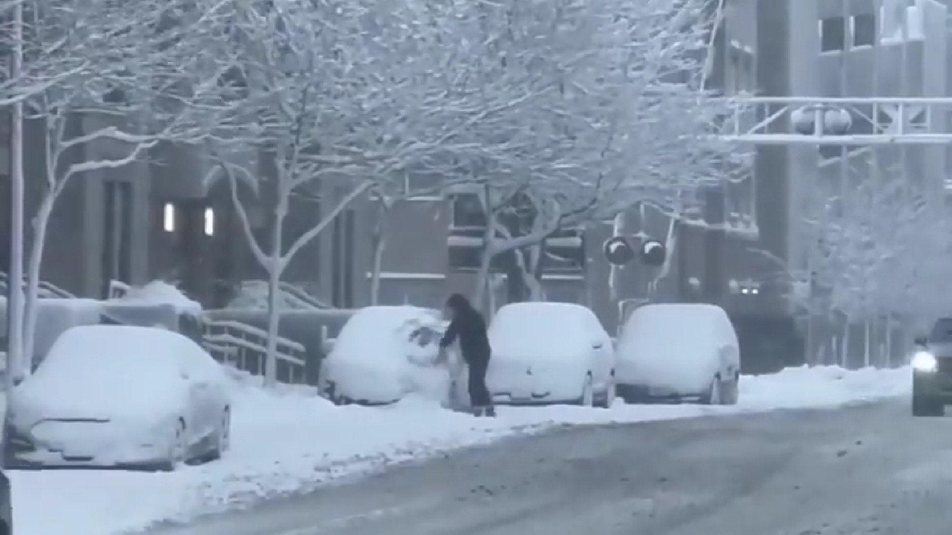 America se pregătește pentru una dintre cele mai masive furtuni de iarnă din ultimii ani, o amenințare care ar putea afecta peste o treime din populația țării