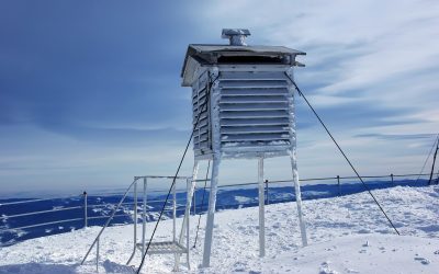 toaca.jpeg - ReporterUrban