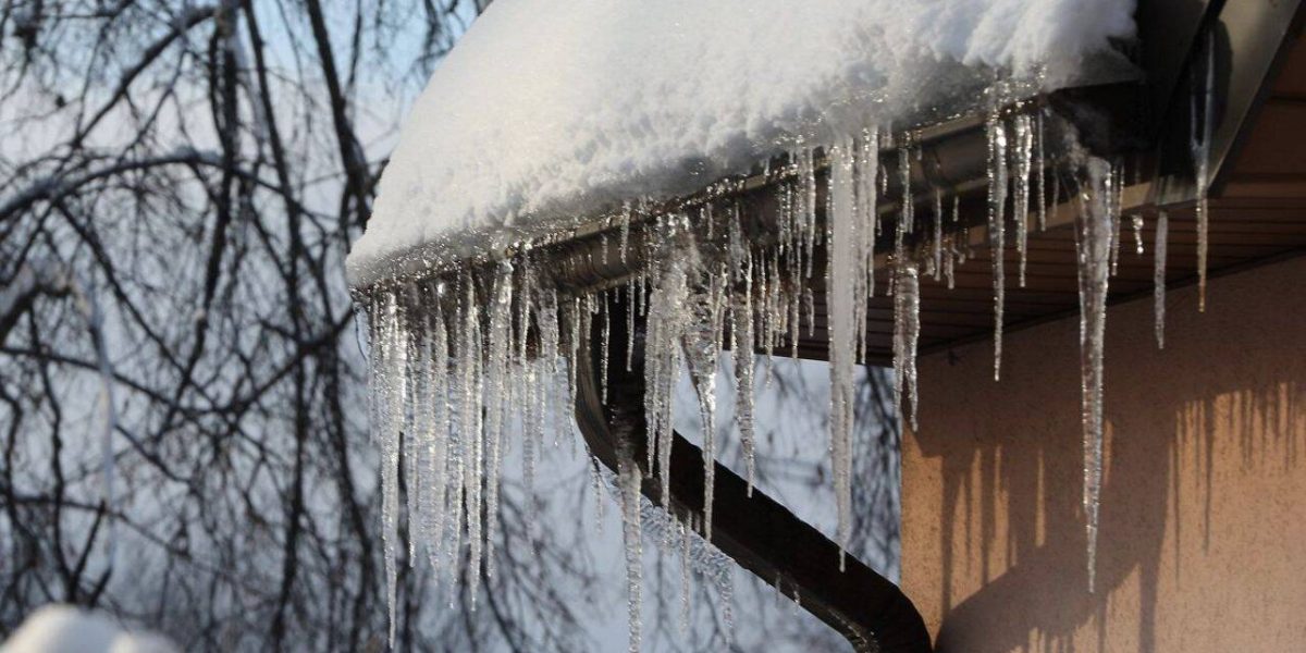 turturi.jpg - ReporterUrban